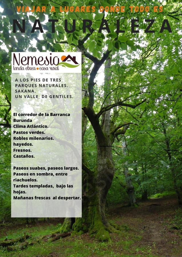 Casa Rural Nemesio Iturmendi Екстер'єр фото